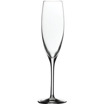 Banquet champagne flute, 17cl, 6st/fp