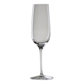 Wineland Champagneglas 20cl, 6st/fp